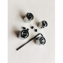 Tapones de Valvulas con Antirrobo Opel